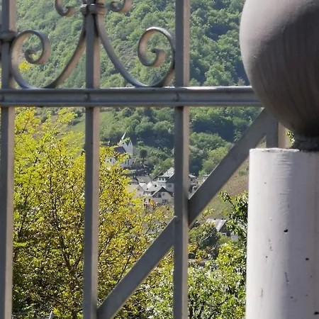 Weingut Amlinger&sohn Neef