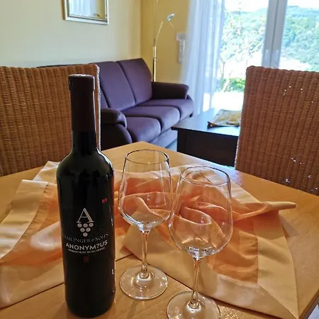 Weingut Amlinger&sohn Apartamento *