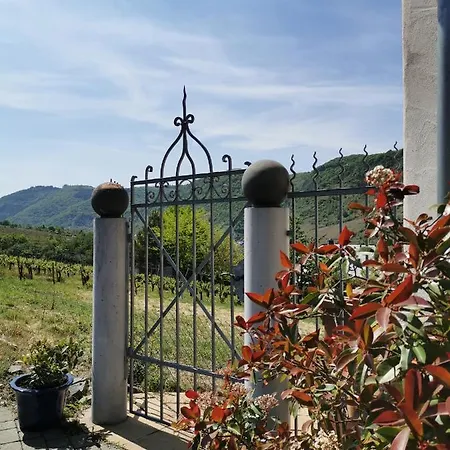 Weingut Amlinger&sohn Apartamento *