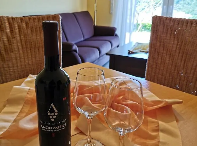 Weingut Amlinger&sohn Apartment *