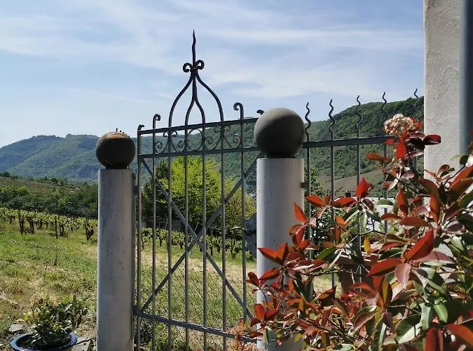 Weingut Amlinger&sohn Apartamento *