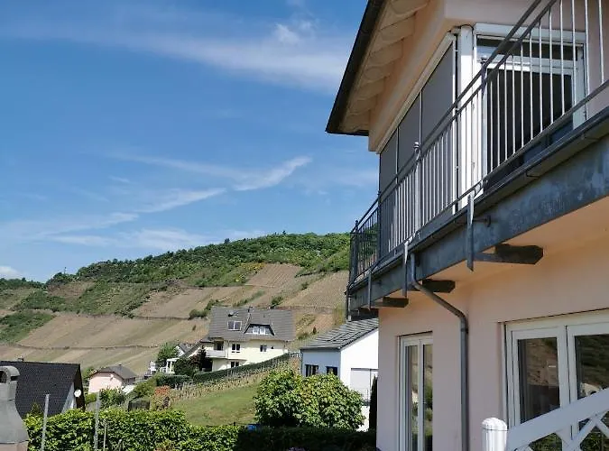 Apartment Weingut Amlinger&sohn Neef